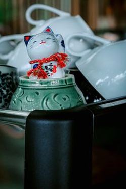 sâm lốc Nohu